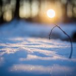 of ice and men