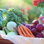 micronutrients