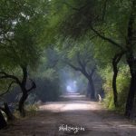 bharatpur