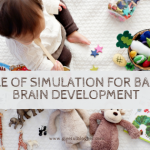 infant simulation brain growth