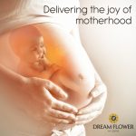 Dreamflower IVF clinic