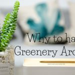 Greenery aound you
